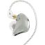 Monitor Intraural